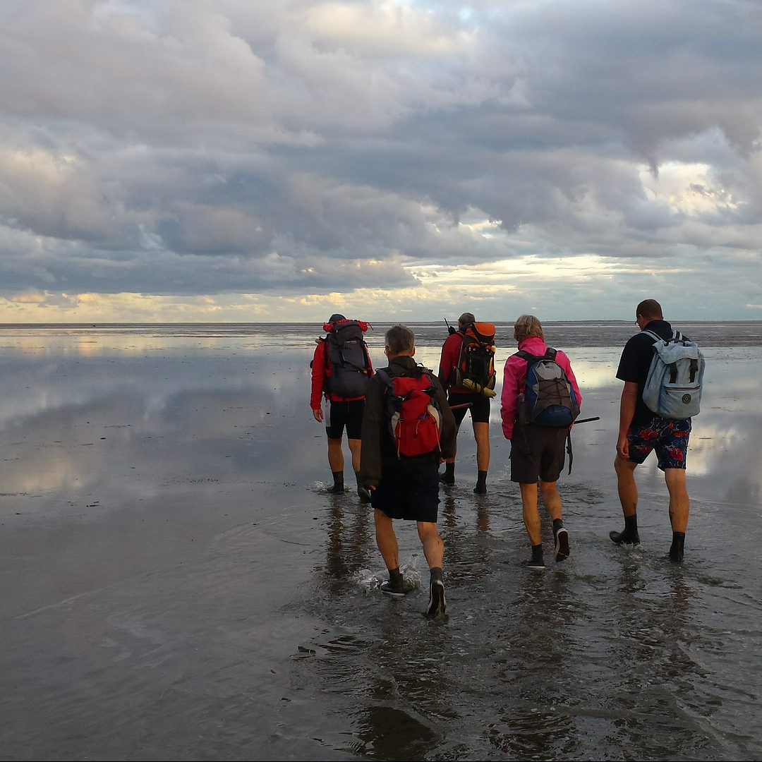 Group of five people walking on the mudflats